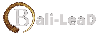 BaliLead באלי ליד